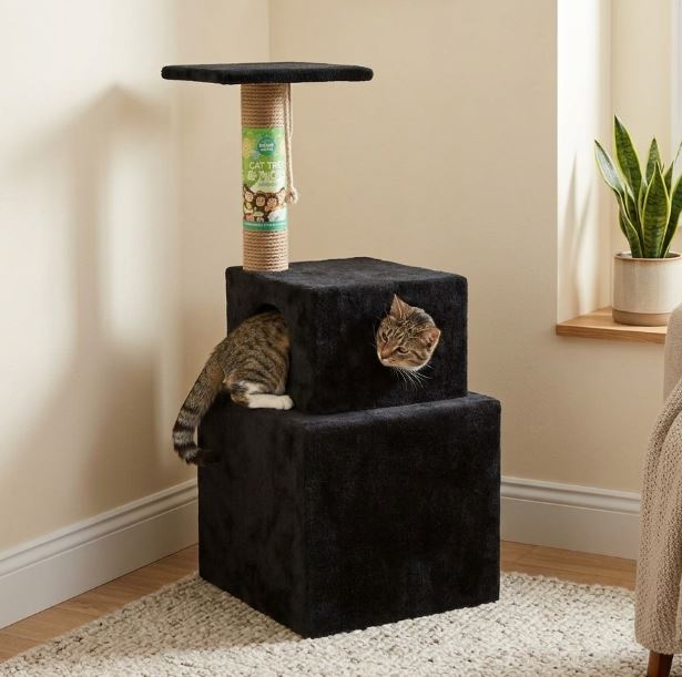 Feline Flair Clawsome luxury double condo scratcher
Luxury double condo scratcher with catnip infusion
Clawsome double condo scratch post
Catnip-infused double condo scratcher
Premium double condo scratching structure