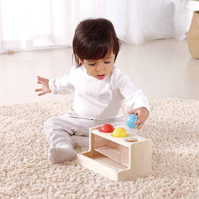 Montessori Inspired Play Box - 11 to 12 Months